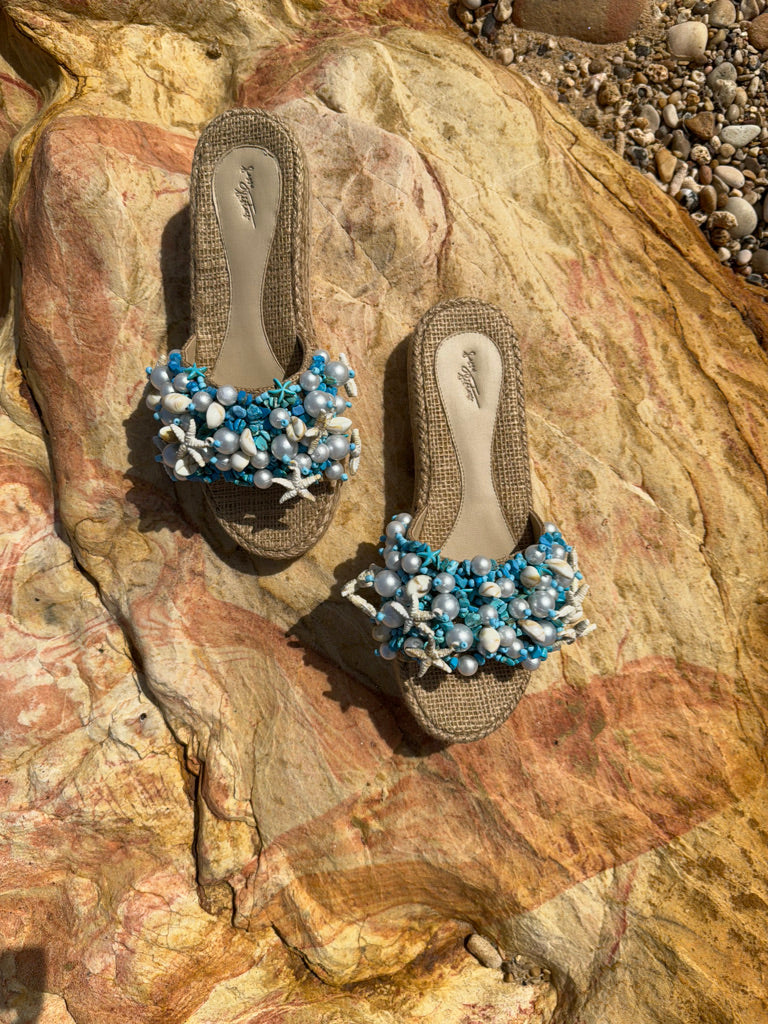 Sea Shells